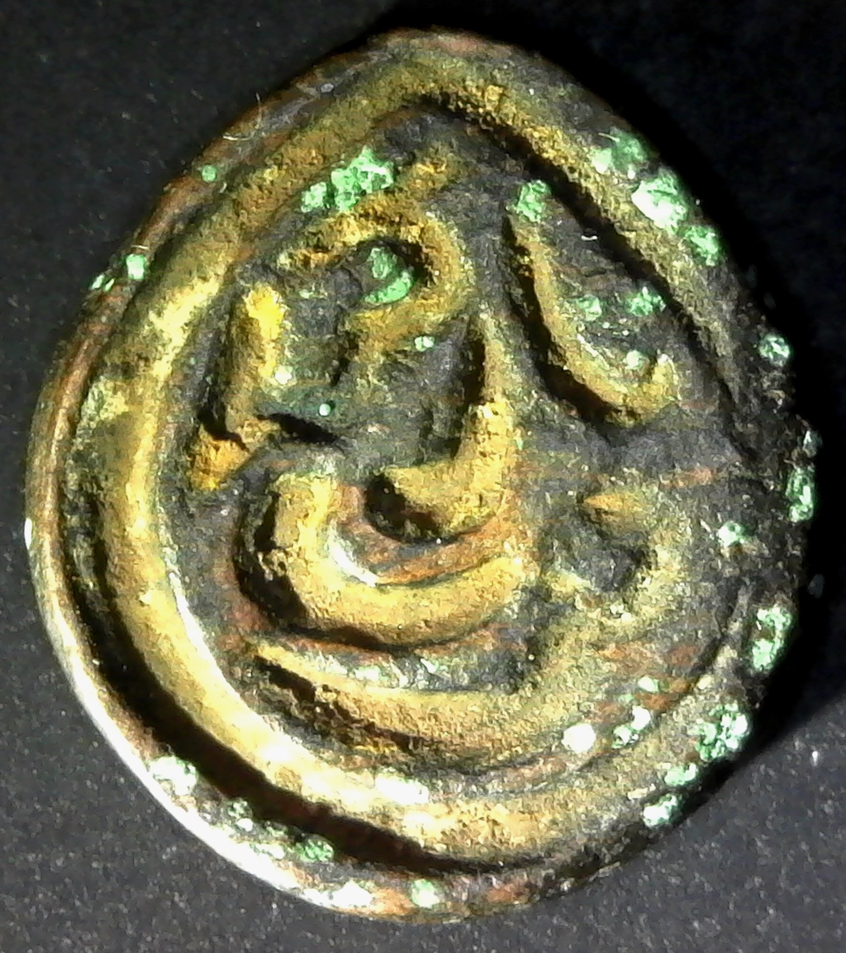 S20190223_0002.jpg