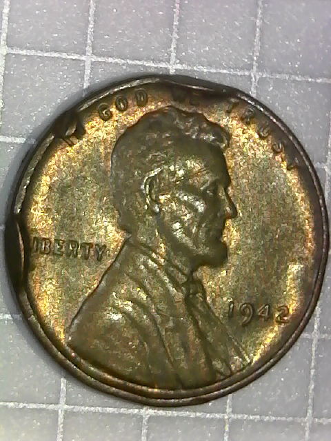 S20190331_003-1.jpg