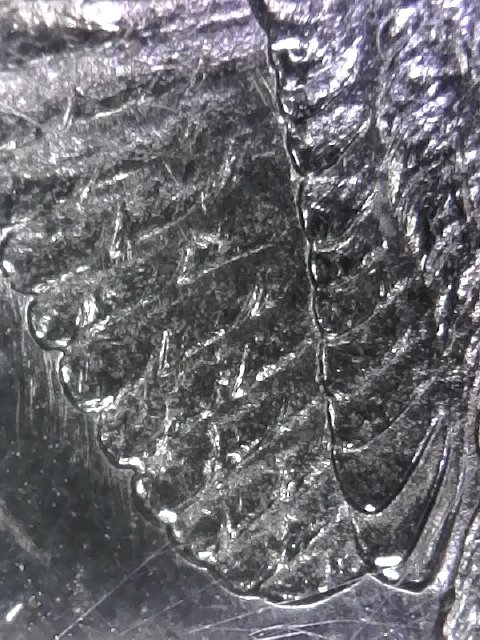 S20190405_0006.jpg