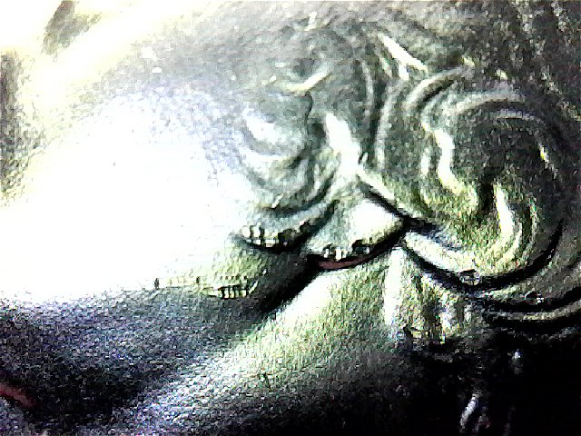 S20190610_006-ccfopt.jpg