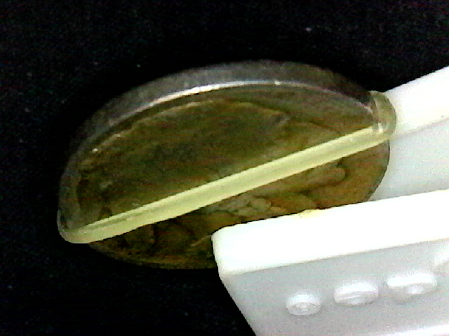 S20190720_006.jpg