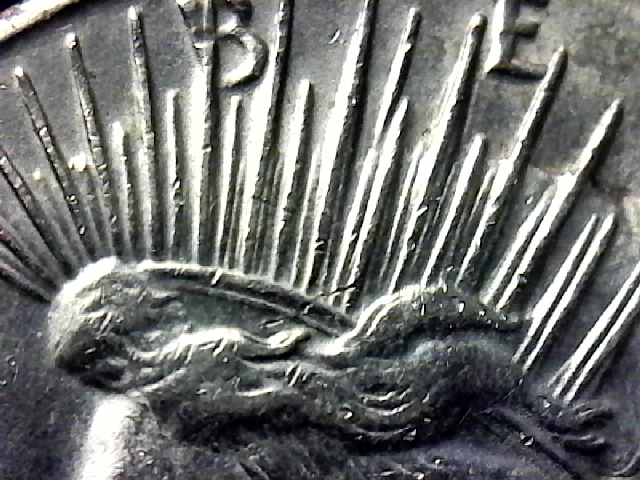 S20190828_006.jpg