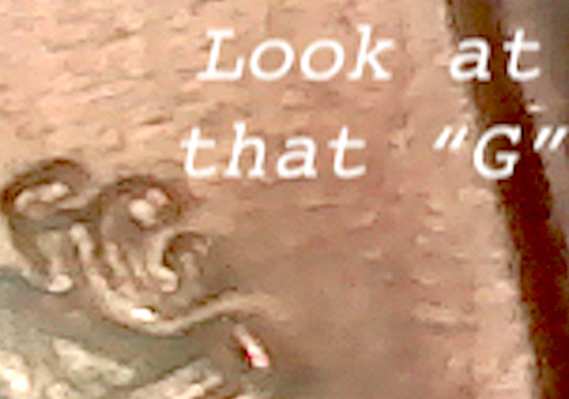 S20191028_121.jpg