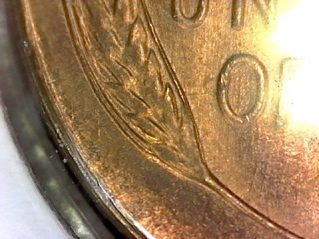 S20191216_003.jpg