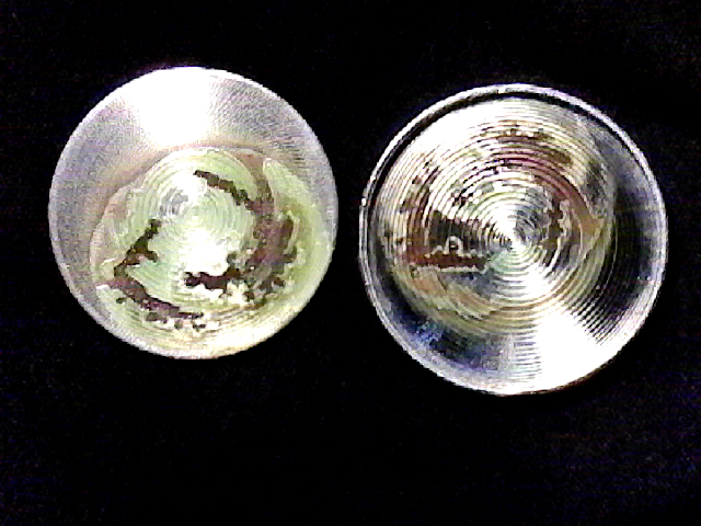 S20191230_002.jpg