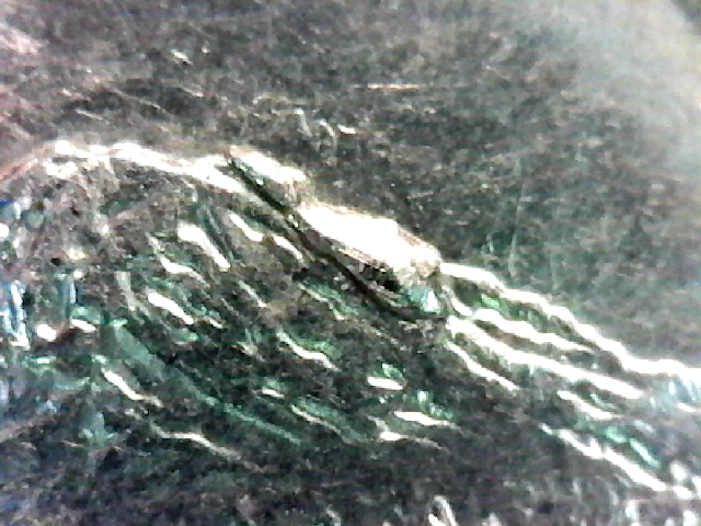 S20200112_013.jpg