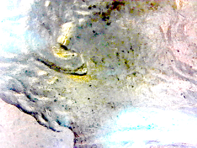 S20200128_158.jpg