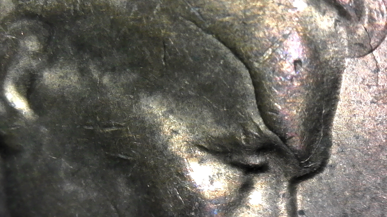 S20200129_0002.jpg