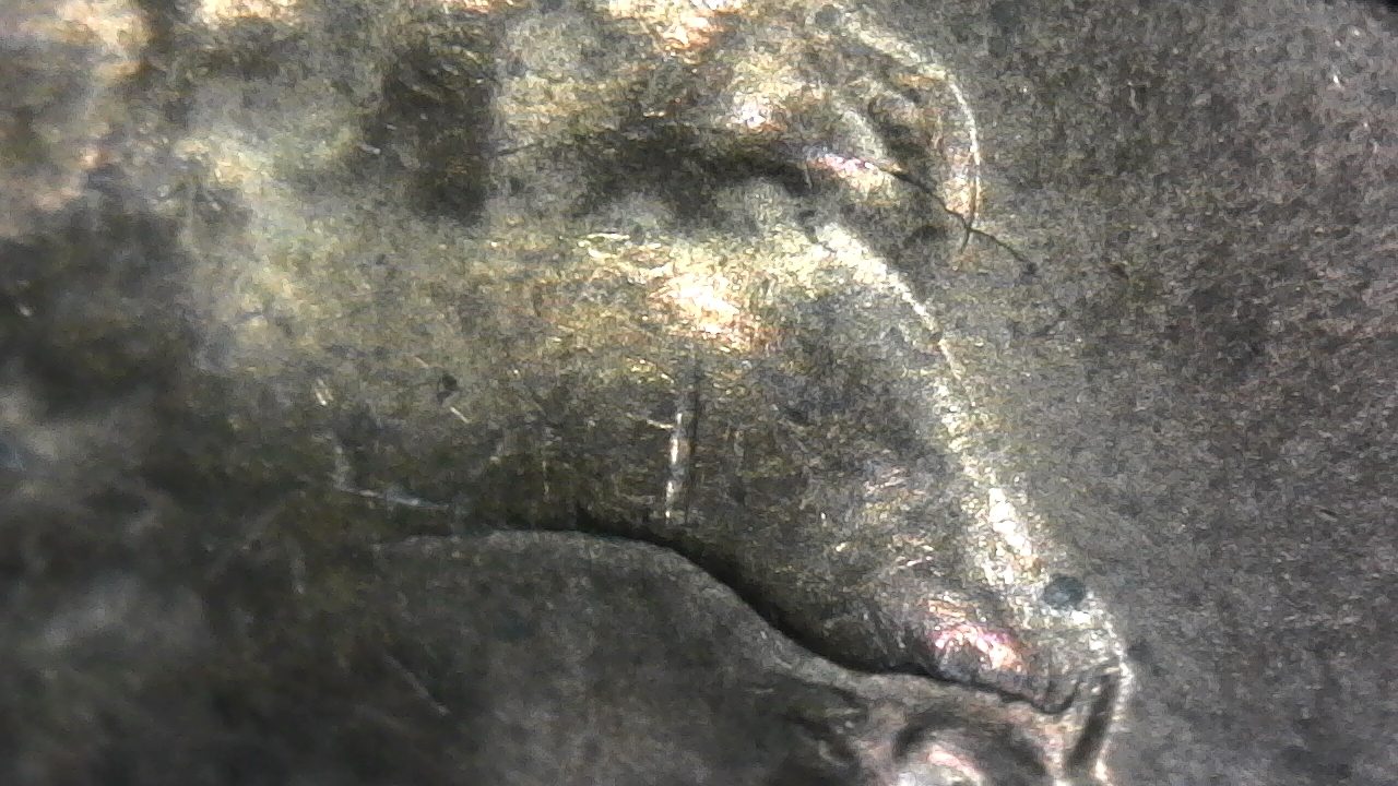 S20200129_0003.jpg