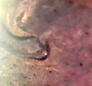 S20200129_008.jpg