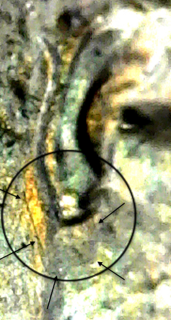 S20200129_136.jpg