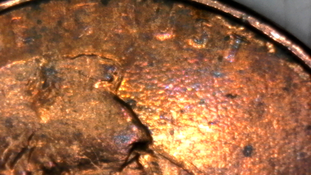 S20200203_0008.jpg