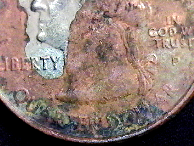 S20200208_001.jpg