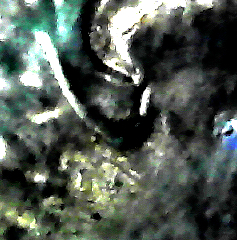 S20200208_050.jpg