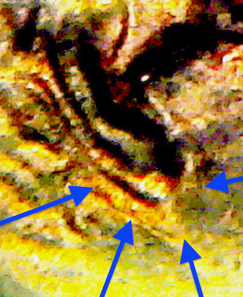 S20200208_077.jpg