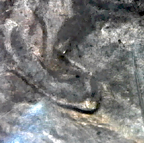 S20200212_038.jpg