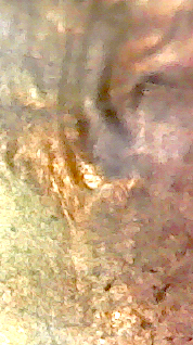 S20200212_043.jpg