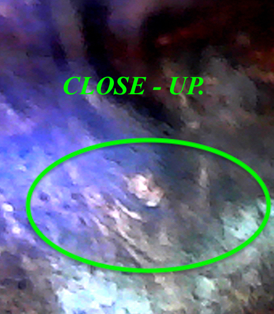 S20200212_097.jpg
