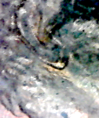S20200213_028.jpg