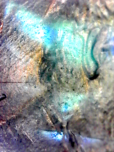 S20200214_041.jpg