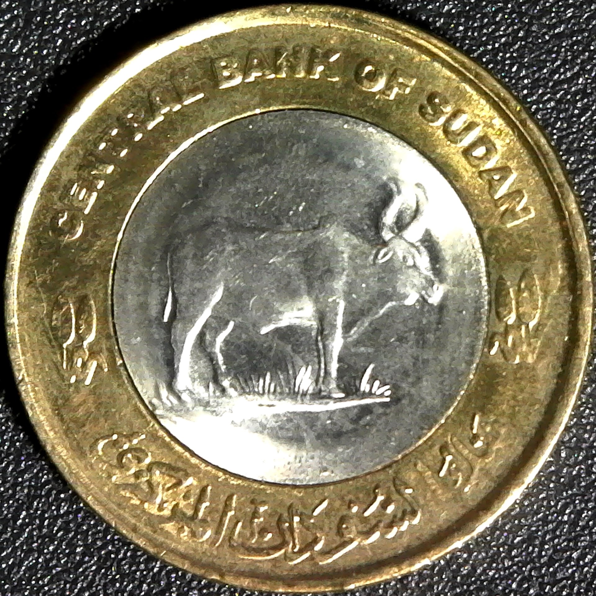 S20200216_0023.jpg