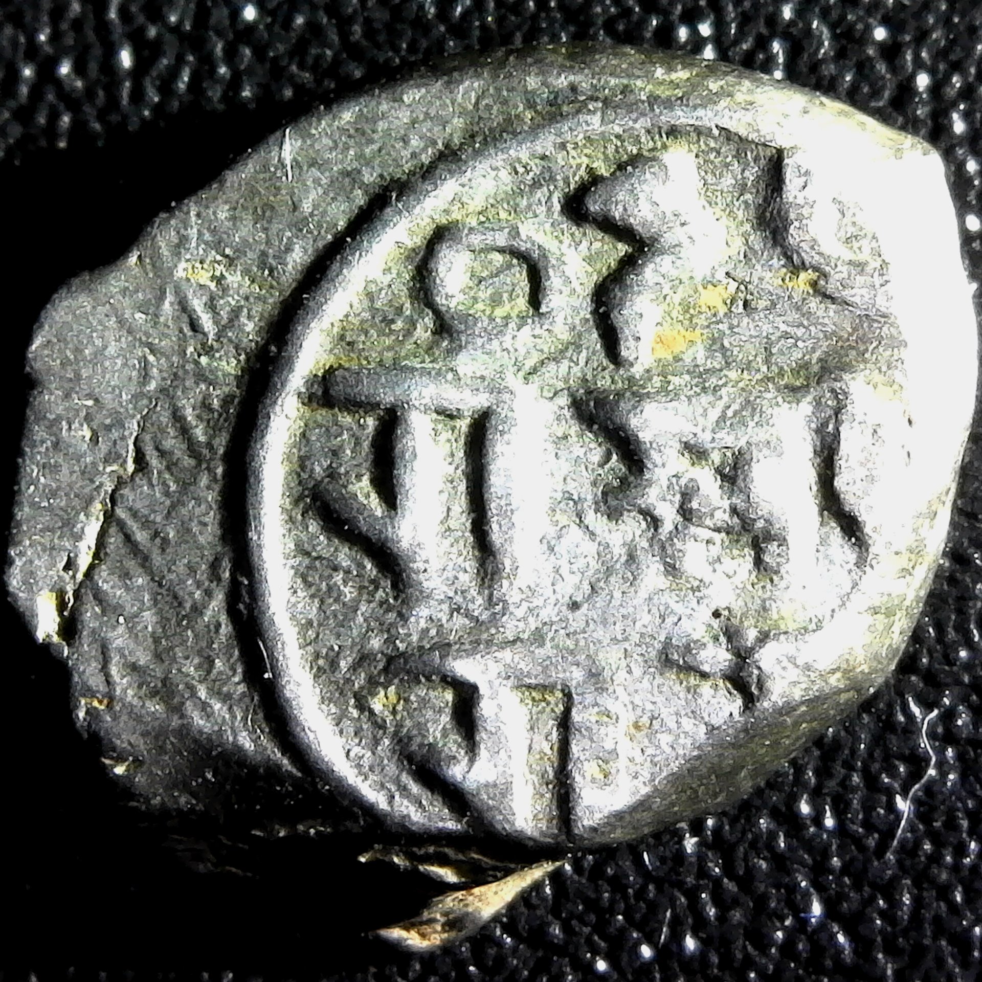 S20200217_0005.jpg
