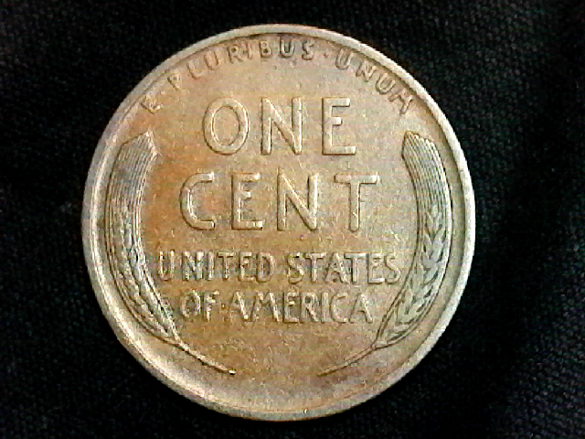 S20200223_001.jpg