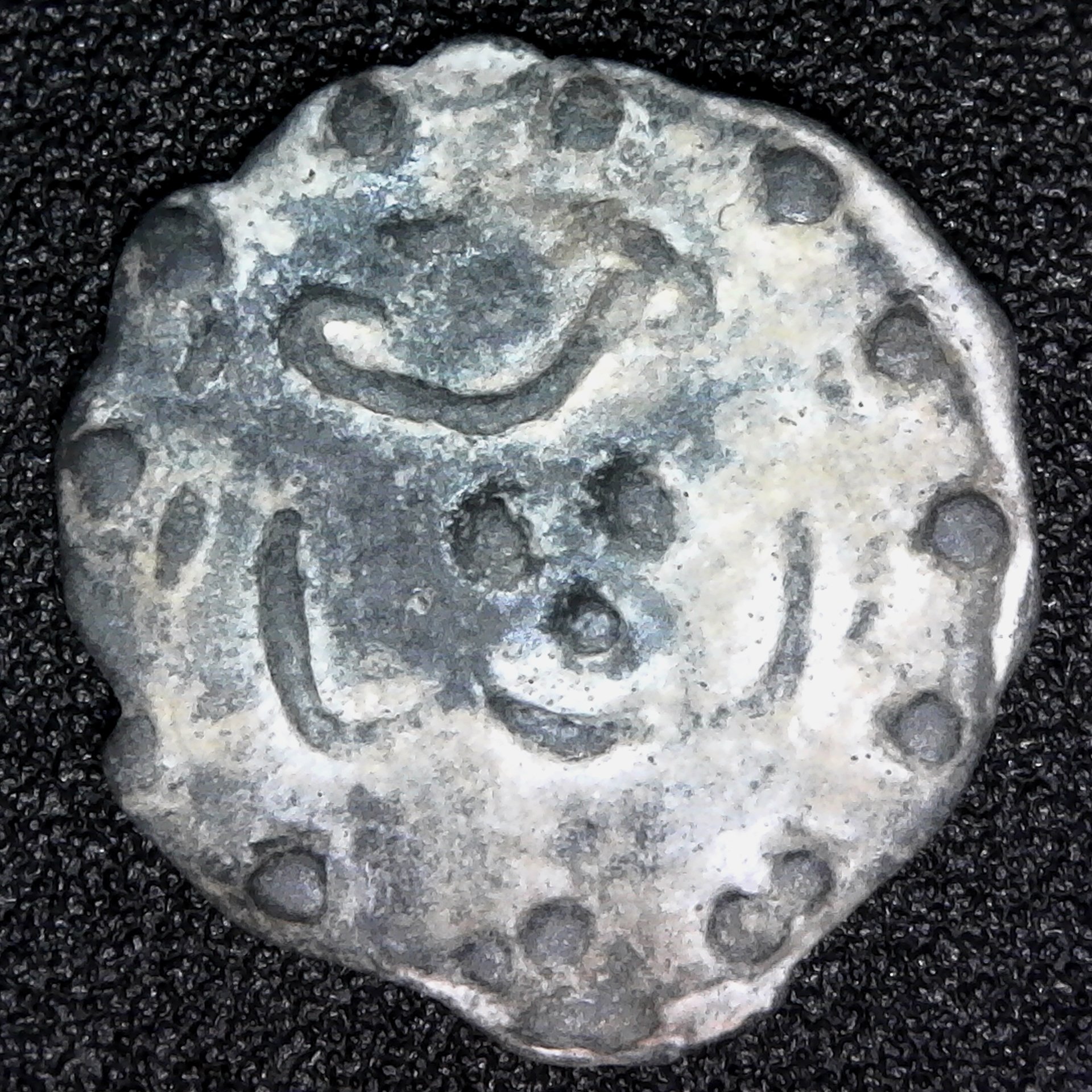 S20200223_0064.jpg