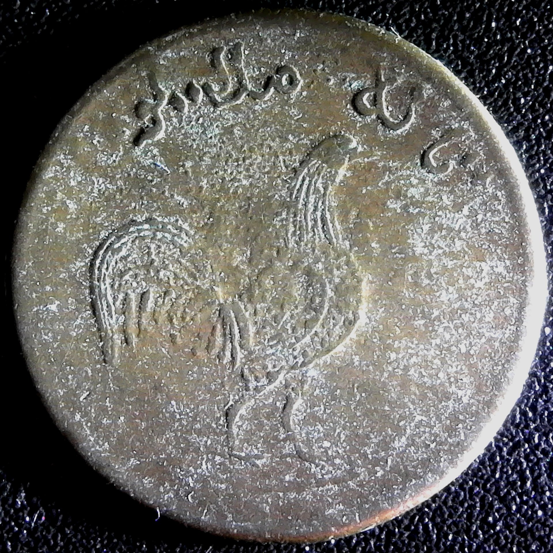 S20200302_0001.jpg