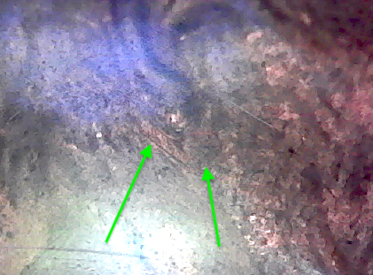 S20200302_006.jpg