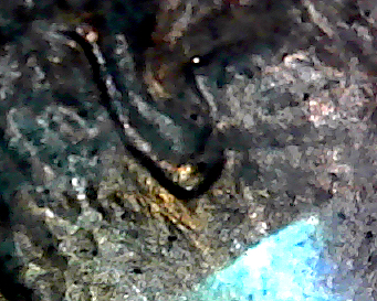 S20200303_134.jpg
