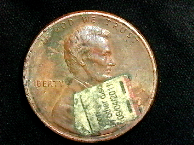 S20200304_001.jpg