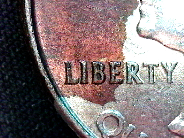 S20200304_901.jpg