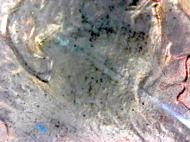 S20200305_002.jpg