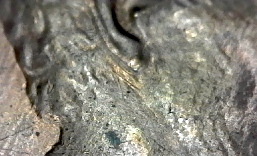 S20200305_014.jpg