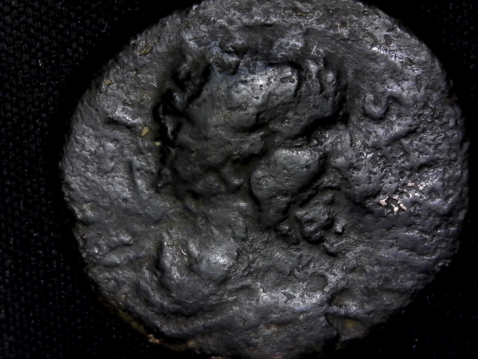 S20200306_0006.jpg