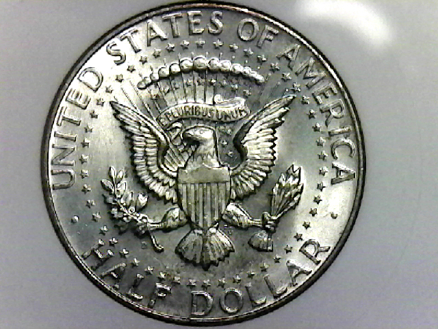 S20200306_001.jpg