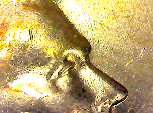 S20200306_099.jpg