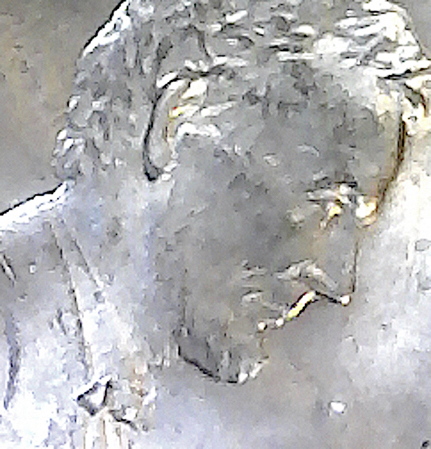 S20200309_049.jpg