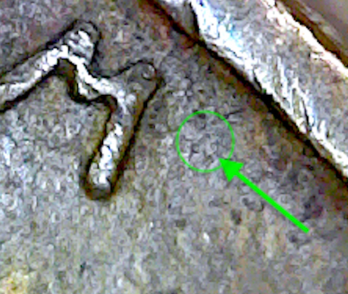 S20200312_347.jpg