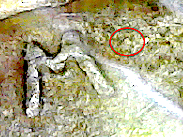 S20200329_010.jpg