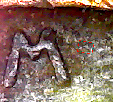 S20200423_313.jpg