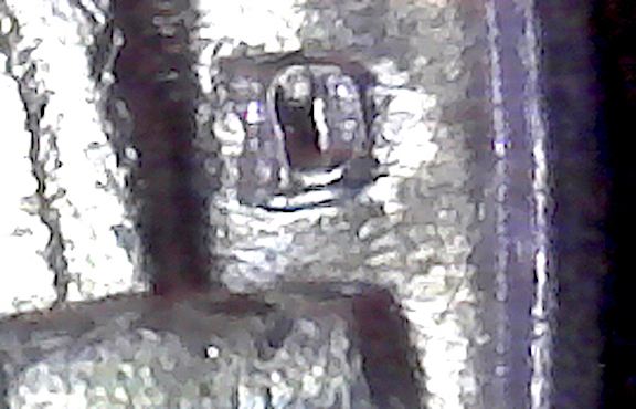 S20200507_004.jpg