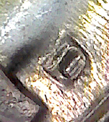 S20200509_016.jpg