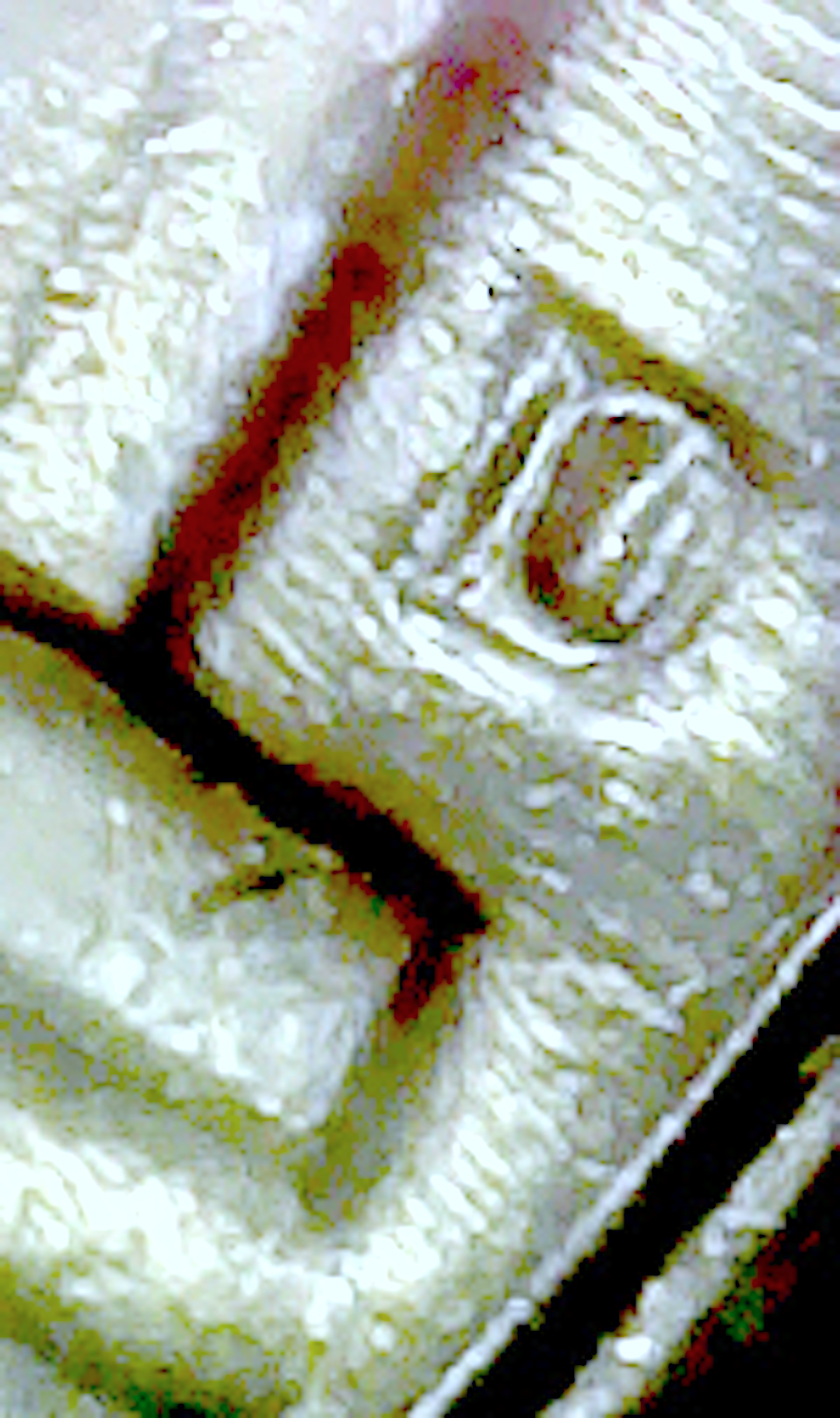 S20200509_017.jpg