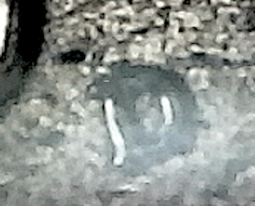 S20200521_205.jpg