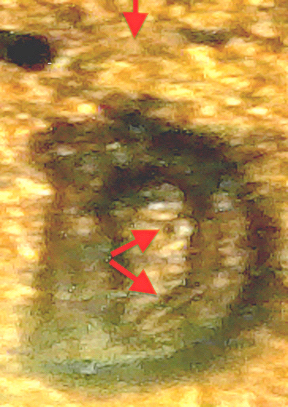 S20200618_006.jpg