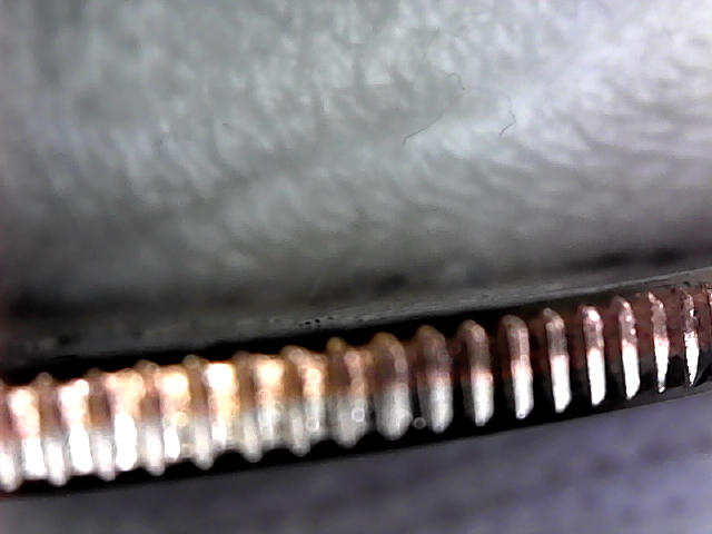 S20200629_006.jpg