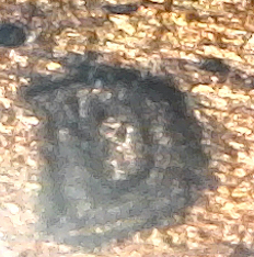S20200717_283.jpg