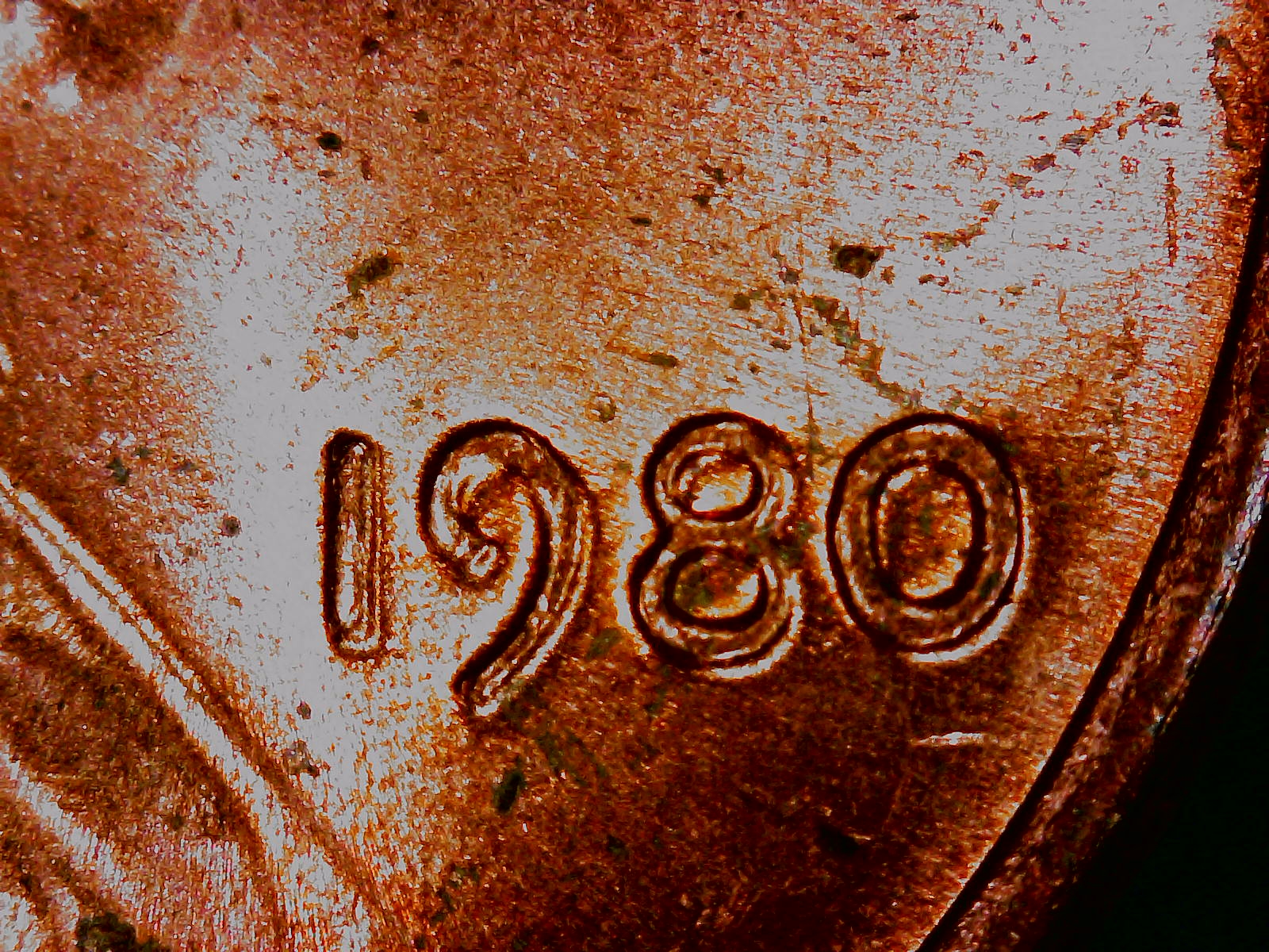 S20200906_0002.jpg